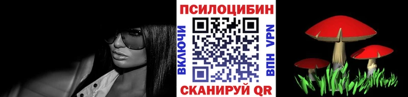 Купить закладки  Видное  Галлюциногенные грибы MAGIC MUSHROOMS 